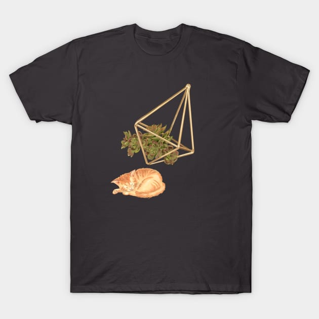Geometric Succulent Planter and Cat T-Shirt by rachelleybell
